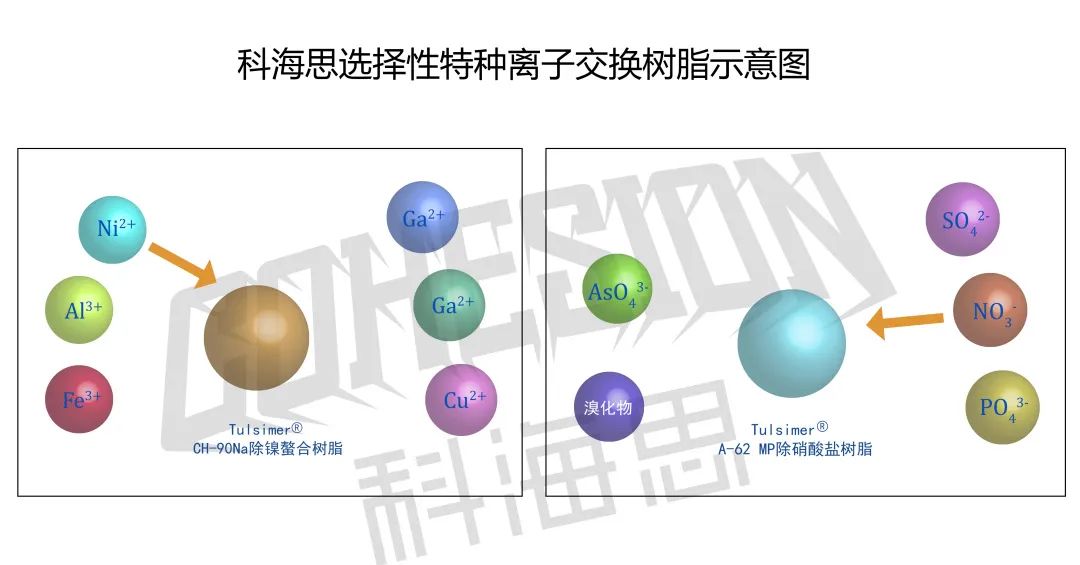 在實際水處理運行中，離子交換樹脂選擇性的影響因素有哪些